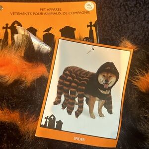 Adorable brand new, never worn XXL dog spider costume.